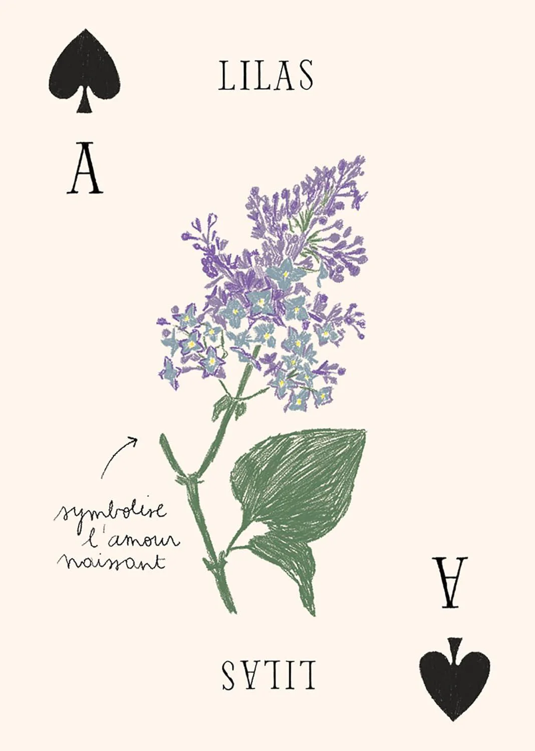 Produktbillede 5
